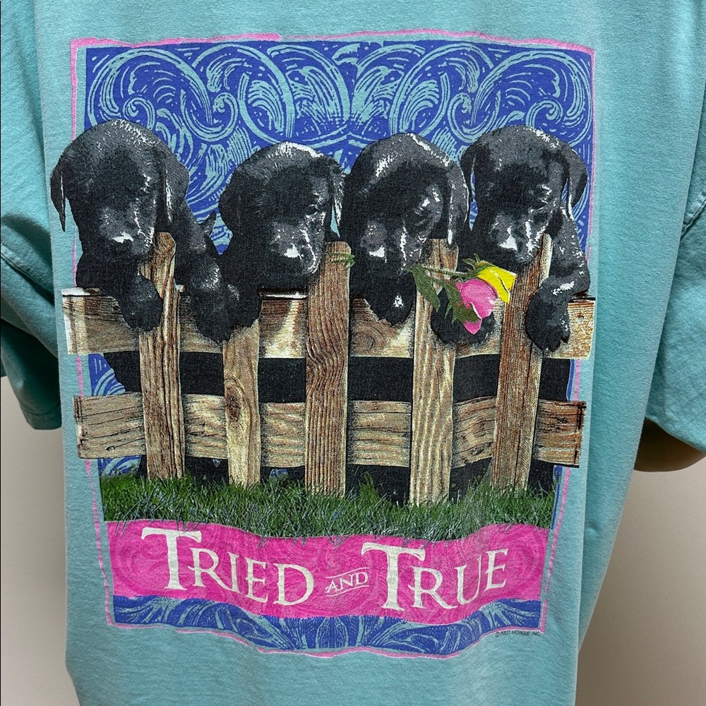 Comfort Colors “Tried and True” Lab Puppy Dog Aqua Short Sleeve T-Shirt size 2XL